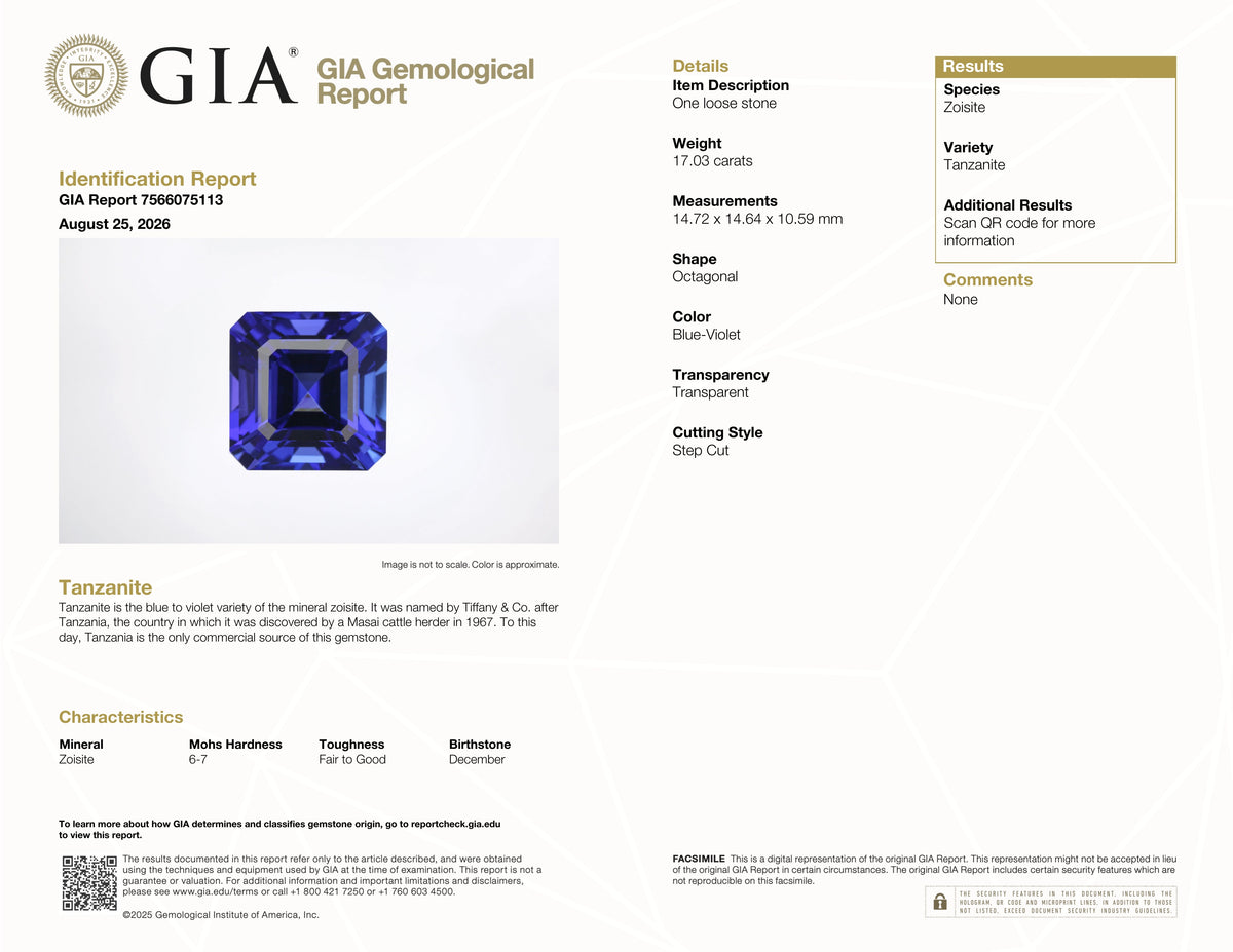 17.03 ct Octagonal Tanzanite Gemstone – GIA Certified
